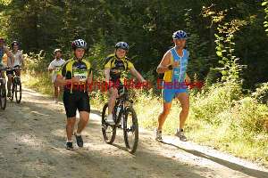25317 photo